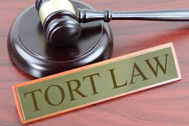 Difference Between Contract And Tort Difference Between