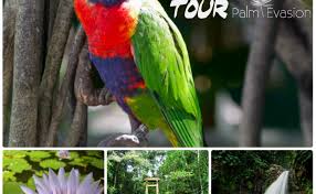 Hotels from budget to luxury. Voyages Et Sejours Guadeloupe 971 Le Mag Du Cse