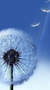samsung galaxy note 3 wallpaper picserio com samsung galaxy note 3 wallpaper