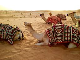 It is at a place which is located about 15 minutes' drive away from dubai city. Is It Safe To Travel To Dubai New Covid 19 Protocols