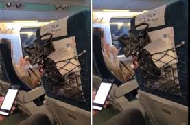 Tổng hợp tin tức, hình ảnh video clip của ktx đhqg được cập nhật nhanh 24h hôm nay. Bgz2vfrneda7hm