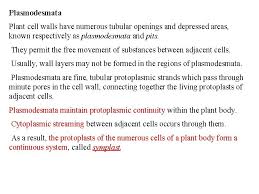 We did not find results for: Class I B Sc Botany Sub Plant Anatomy