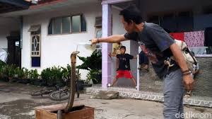 Awal awal siaran digital cirebon yang saya dapatkan. Kisah Rinto Pria Di Kuningan Yang Raup Rejeki Dari Jinakkan Ular