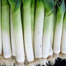 C'est lorsque le gros de la récolte estivale arrive et que les parcelles de légumes commencent à se vider. Quel Legume Planter En Septembre