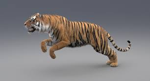 Pin On Animals