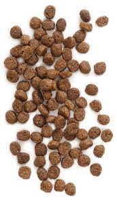 Earthborn Holistic Puppy Vantage 28 Pound Bag Read More Reviews Of The Product By Visiting The Link On The Image Th Dog Food Recipes Food Natural Dog Food