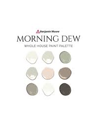 Morning Dew Palette Fresh Color