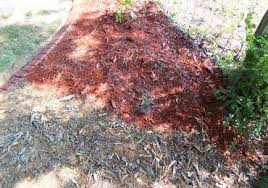 We did not find results for: Mulch Pine Straw Dye Painting Colorant Renew Faded Out Mulch