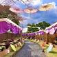 Chrysanthemum Exhibition Adorned with Traditional event image