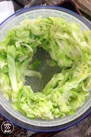 To freeze cabbage, wash the leaves and cut them into desired size pieces. How To Freeze Cabbage Fried Cabbage With Bacon