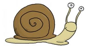 Escargot Escargot Elevage Escargot Et Planificateur