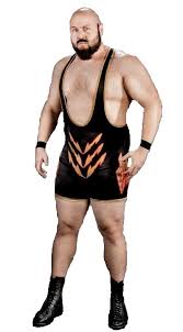 When the best of new york rap meets the best of wwe. J Bronson Pro Wrestling Fandom