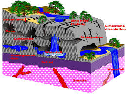 Ver la forma del agua pelicula completa en español latino. Geotourism In Caves Of Colombia As A Novel Strategy For The Protection Of Natural And Cultural Heritage Associated To Underground Ecosystems Medcrave Online
