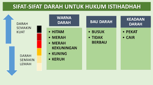 Ataupun ini cuma darah penyakit? 87 Terpopuler Warna Darah Nifas Warna Dasar
