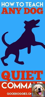 1 Have Dog Behavior Problems Learn About Is House Training A Puppy Hard And Does A Dog S Behavior Change When In Stop Dog Barking Dog Training Puppy Training
