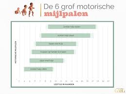 Wanneer Hoort Je Baby Welke Grof Motorische Mijlpaal Te Behalen Go Mommy Go Mijlpalen Baby Grove Motoriek