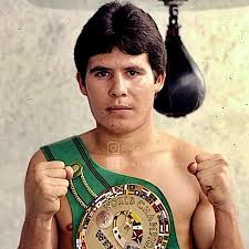 Boxing History - Julio César Chávez, "El Gran Campeón," beloved all-time great Mexican fighter and three-division world champion, was born Julio César Chávez González in Ciudad Obregón, México #OnThisDay in 1962. |