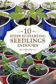 Growing Your Own Seedlings From Seed Offers You More Flexibly And Control Over Your Garden You Can Choose Your Seedlings Indoors Starting Seeds Indoors Plants