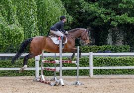 Der englische garten in münchen zählt mit einer fläche von 3,7 km² zu den größten innerstädtischen grünanlagen der welt. Dank Dem Schonen Wetter Konnte Das Universitats Reitschule Munchen ÙÙŠØ³Ø¨ÙˆÙƒ