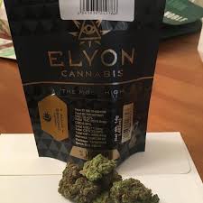 The smell and flavours are addictive, with a cherry and lime slushie . Strain Review Trifi Cookies By Elyon Cannabis The Highest Critic