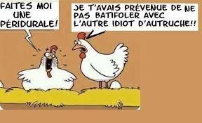 Humour Recherche Google Humour Humoristique Dessin Humour