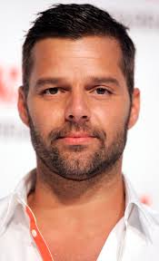 He is regarded as the king of latin pop. Ricky Martin Wikipedia