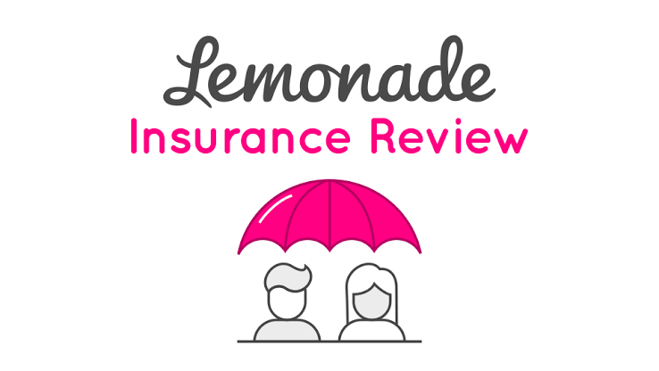 Image result for Lemonade Insurance: What You Need to Know About It"