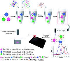 We did not find results for: Multiplex Chemiluminescent Immunoassay For Screening Of Mycotoxins Using Photonic Crystal Microsphere Suspension Array Analyst Rsc Publishing Doi 10 1039 C3an02032k