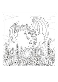 Free Online Dragon Coloring Pages Dragon Coloring Page