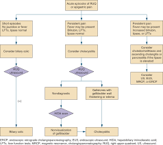 Abdominal Pain Symptom To Diagnosis An Evidence Based