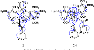 Image result for Uvaria welwitschii