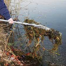 Aeration makes your lake feel younger. Removing Dead Vegetation The Pond Guy