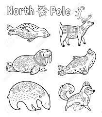 Keep your kids busy doing something fun and creative by printing out free coloring pages. Outline Arctic Animals Set For Coloring Page Royalty Free Cliparts Vectors And Stock Illustration Image 75684179