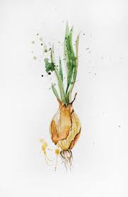 Original Watercolor Painting Green Onions Organic Original Watercolor Painting Watercolor Paintings Watercolor