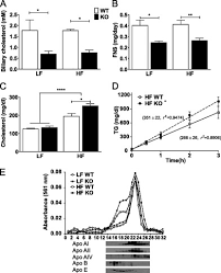 The insulin index of foods provides powerful insights into how the food we eat affects our insulin. The Abcg5 Abcg8 Sterol Transporter Opposes The Development Of Fatty Liver Disease And Loss Of Glycemic Control Independently Of Phytosterol Accumulation Journal Of Biological Chemistry