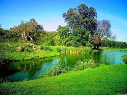 If you're looking for the best wallpapers for desktop nature then wallpapertag is the place to be. Computer Nature Wallpapers Wallpaper Cave