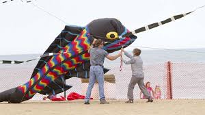 There is a 3 mile boardwalk and the music stages are located all along it. Atlantic Coast Kite Festival 2021 Tickets Dates Venues Carnifest Com
