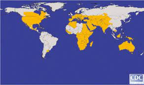 Arbovirus wird diese art von virus auch genannt. West Nil Virus Wikipedia