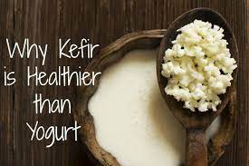 Why Kefir Is A Healthier Choice Than Yogurt The Healthy Home Economist