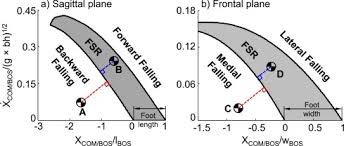 See more ideas about tai chi chuan, tai chi, tai. Individual Analysis Of Dynamic Stability For Twenty Four Tai Chi Forms Among Persons With Knee Osteoarthritis A Pilot Study Sciencedirect