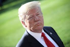 Muni he first came to the public's knowledge as a 15 year old when she qualified for the us women's open and where she. Trump Says Nasty Denmark Should Ve Been Nicer About Not Selling Greenland Vanity Fair