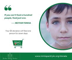 Mimi's Pantry Fundraiser