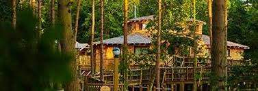 Browse the most popular center parcs vouchers, discount codes and other free offers for june. Luxury Forest Spa Suites Center Parcs