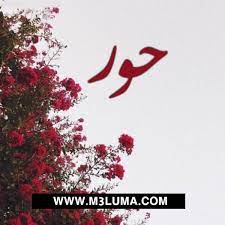 مقاتل حصان اغمى عليه كتابة اسم حور بالانجليزي guillotinpoilvet com