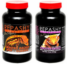 Most geckos do best eating live prey. How To Make And Use Repashy Crested Gecko Diet Josh S Frogs How To Guides