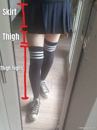 I secretly longed for her outfit but somehow my. Skirt Thigh Highs Thigh Meme Generator