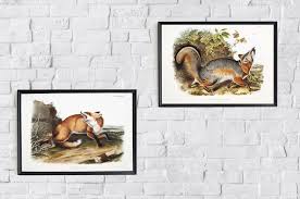 Recessed lighting fixtures add an extra layer of functionality to just about any room. Fox Set Of 2 Posters By Kuriosis In Art Prints
