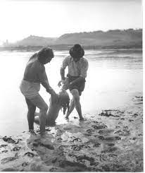 Rolurile principale au fost interpretate de actorii dorel vișan, george negoescu. Sambata La Cinematepeca O Lacrima De Fata Mai Mult Decat Un Film Politist