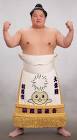 大栄翔勇人