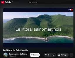 Image result for Oedina